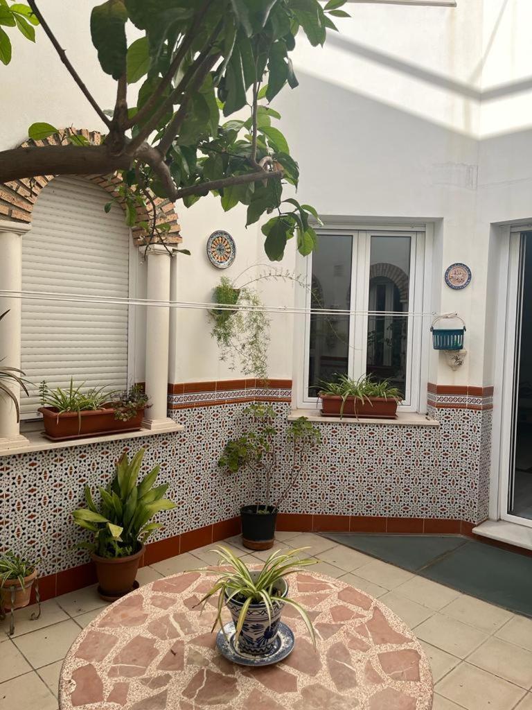 Albergue Alyana Córdoba Exterior foto