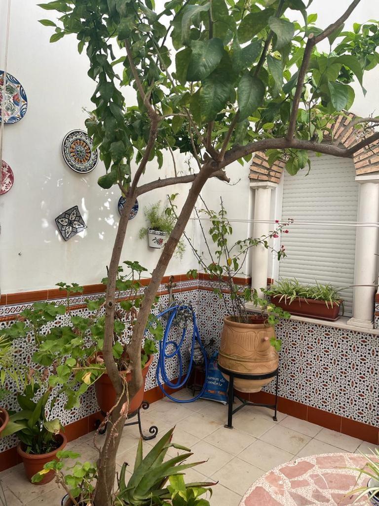 Albergue Alyana Córdoba Exterior foto