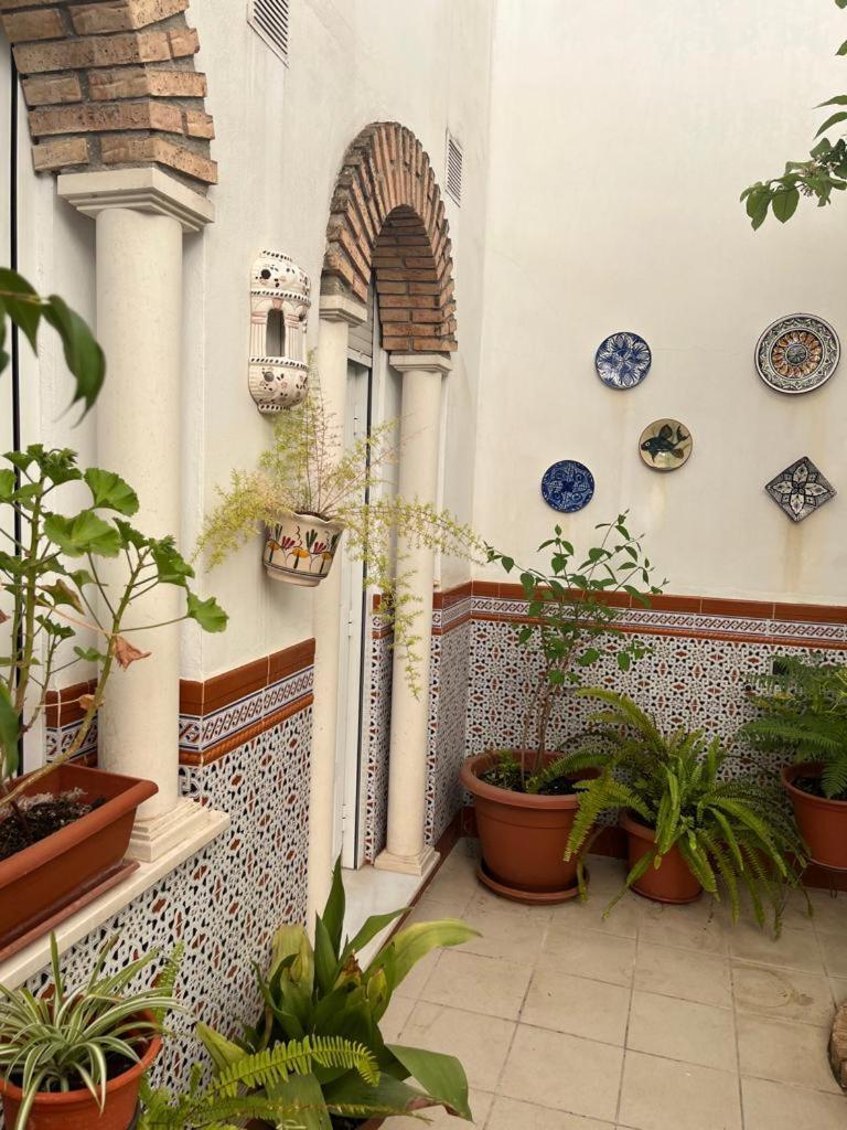 Albergue Alyana Córdoba Exterior foto